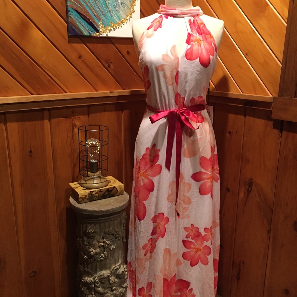 NWT Calvin Klein Long Dress